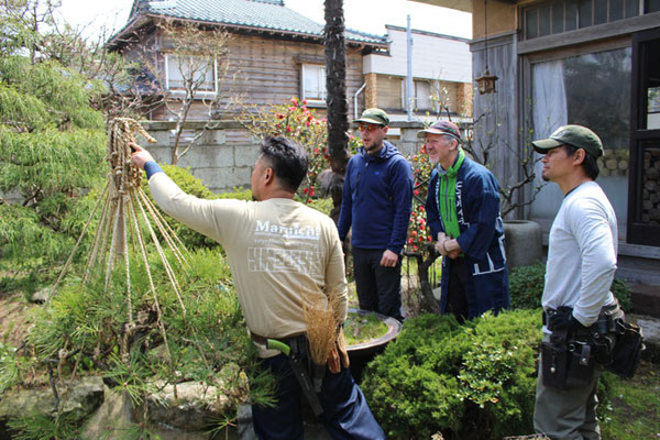 ロバートさん 村上事務所で日本の庭仕事をご体験 株式会社マルイチ ウッドタワー工法での特殊伐採