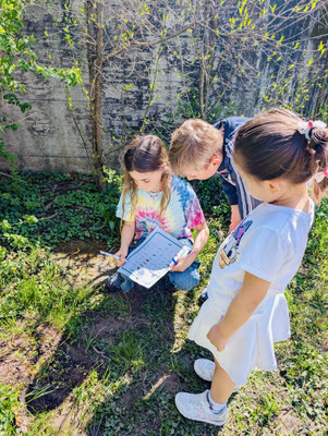 Custom Kids Science Club Outdoor scavenger hunt in Lenzburg