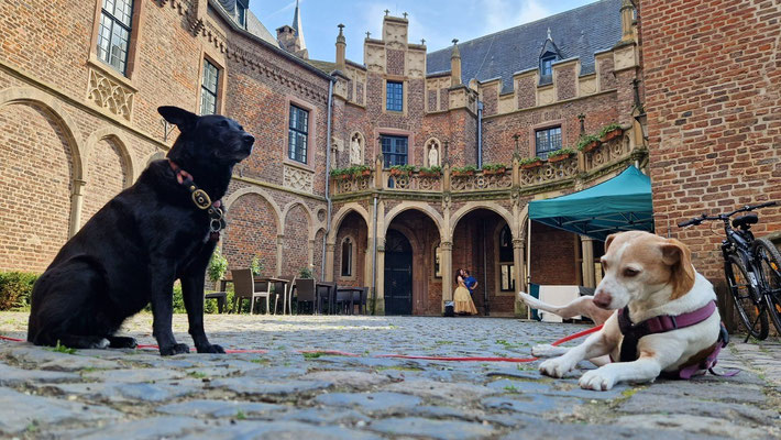 01.09.2024: Trude (8J) und Cara (11J) Wir sind von Horrem an die Erft zum Schloss Pfaffendorf gewandert. 10 km