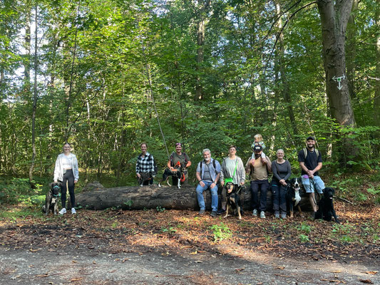 07.09.2025: Buddy, Elisabeth, Bakari, Eddy, Archie und Koda von der Tierarztpraxis Horrem haben je 9,3 km im Königsdorfer Forst zurückgelegt.