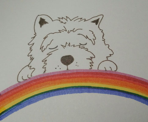 02.02.2026, Bronco