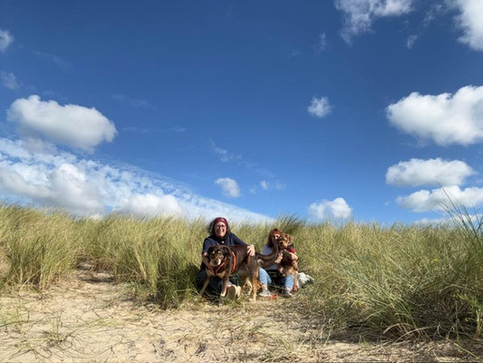 23.09.2025: Jeannie und Flubbie sind 6,15 km gelaufen. In Breskens am Strand zum Leuchtturm über Panorama Weg zurück.