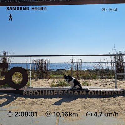 20.09.2024: Shaggy (12J) ist 10km in Vom Strand Scharendijke über den Brouwersdam in Richtung Ouddorp und wieder zurück zum Strand gelaufen..