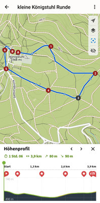22.09.2024: Nacho, (8 J) ist eine 4km Runde durch den Wald am Königsstuhl gegangen.