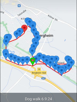 06.09.2024: Buddys Weg