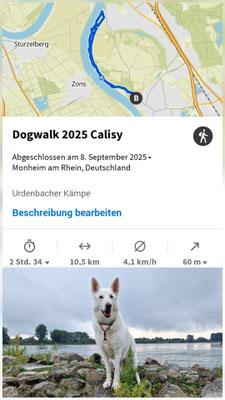 Mit Yuma im Herzen und in Erinnerung an Shane!