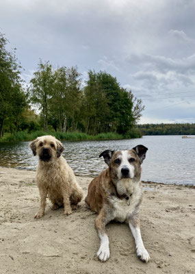 26.09.2024: Ninjo (14 J) und Inge, (9,5 J) sind 5,5km um den Bleibtreu See in Brühl gelaufen.