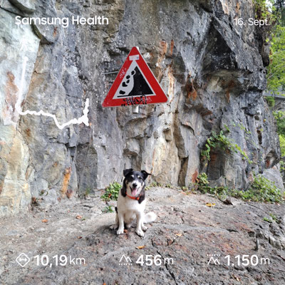16.09.2025: Shaggy  ist 10 km gelaufen.Österreich_ Dornbirn_Karren_Rappenlochschlucht über Stege und an Wasserfällen vorbei 