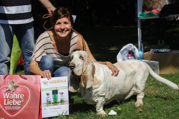 DogWalk 2015 mit Basset Kimmi
