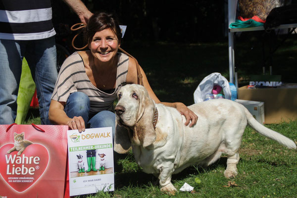 DogWalk 2015 mit Basset Kimmi