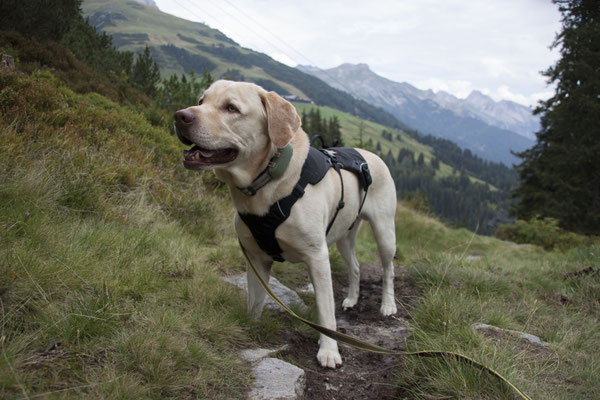 04.09.2024: Kalle, 4 Jahre, ist mit Marie und Dennis im Urlaub in Tirol. Sie sind von der Galzig-Bergstation zurück ins Dorf gewandert. 4,8km