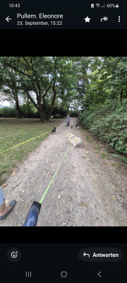 23.09.2024: Ruby, Boomer, Kimba, Muffin und Sparky waren im Nordpark / Ossendorf unterwegs.