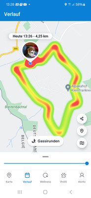 15.09.2024: Noëlle (11J) und Honey (2J) 5km Runde um Kalterherberg