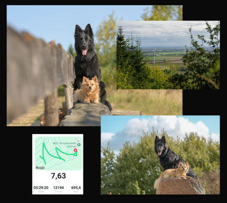 04.09.2025: Kiss me und Peanut sind 7,63 km gelaufen. von Titz aus auf die Sophienhöhe (Tagebau) am Eisvogelsee, der Elsdorfer Aussichtsbank vorbei zur "kleinen Lausitz" und zurück.