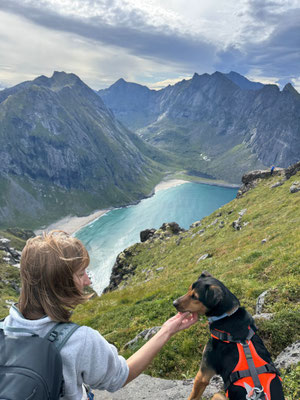07.09.2025: Arlo grüßt vom Polarkreis. Er hat auf den Lofoten 10km zurückgelegt.