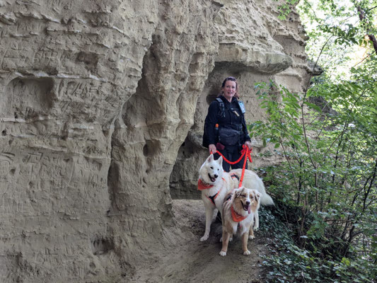 29.09.2024: Gracie, (3 J) und Anouk, (4 J) sind rund um die Stockacher Heidenhöhlen, Bodenseeregion unterwegs gewesen über 10km.. 