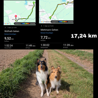 07.09.2025: Bonney und Reiju sind 9,52 km von Wülfrath Mitte über Felder nach Mettmann und zurück über Felder nach Wulffs zurückgelegt.