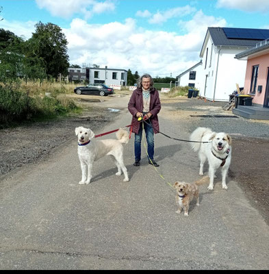 27.09.2024: Bonnie (2,5J), Leila (3J) und Luna (5J) sind 3km gelaufen.