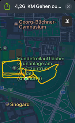 22.09.2024: Anton und Pia