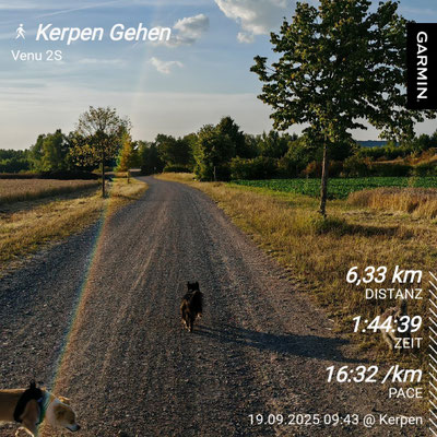 19.09.2025: Hugo ist 6,33km gelaufen. Durch das Naturschutzgebiet in Sindorf, entlang der großen und kleinen Erft nach Horrem durchs Parrig, Richtung Marienfeld