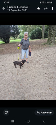 23.09.2024: Ruby, Boomer, Kimba, Muffin und Sparky waren im Nordpark / Ossendorf unterwegs