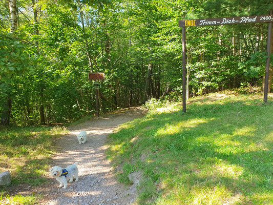 21.09.2024: Trixie & Bine haben den Trimm-Dich-Pfad in Thüringen nahe der Ferienwohnung bei Kaiserwetter 4 x umrundet je 10 km