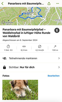 08.09.2024: Kex (7J) ist 8,5 km auf dem Waldlehrpfad in Waldbröl, durch Wald und Feld, bei herrlichem Wetter unterwegs gewesen..