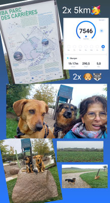 24.09.2025: Chinook und Manuk sind 5 km gelaufen. Parc des Carrières/F-Hegenheim/Alsace