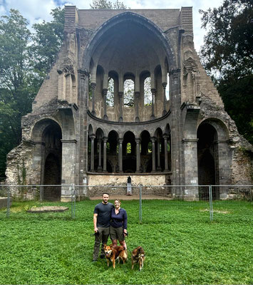 20.09.2025: Foxy und Tolya sind mehr als 10 km durch das Siebengebirge ab Kloster Heisterbach gewandert.