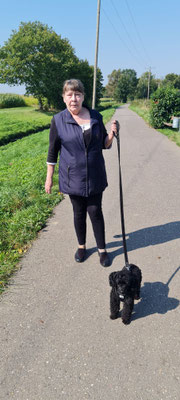 19.09.2024: Nico ist mit seinem Frauchen 1 km in Swisttal-Morenhoven am Bach entlang spaziert