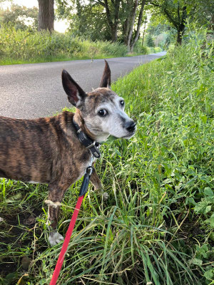 22.09.2024: Fiona,(5J) und Macchiato, (11J) sind den Drei-Türme-Weg gelaufen. 13km