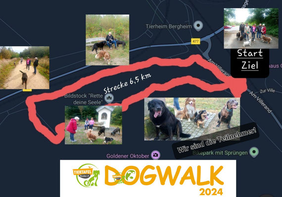 24.09.2024: Die Gruppe war Am Villerand Oberaußen unterwegs und hat 6,5km zurückgelegt. Bella (2J), Föx (2J), Bobby (2J) und Carrie