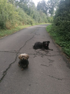 05.09.2024: Benni (7) und Karmar (5) starteten im Ortskern von Bliesheim, an der Erft entlang Richtung Weilerswist, entlang der Bahnstrecke in die Ville, am Silbersee vorbei und durch den Ort wieder zurück zur Kirche.