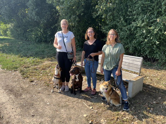 20.09.2024: Wir sind Teil einer Trainingsgruppe vom 1. Hundesportverein Kerpen: Marion mit Hündin Lilly (5J), Elke mit Schoko (6J) und Nicole mit Duke (1J) (von links). 1,8km