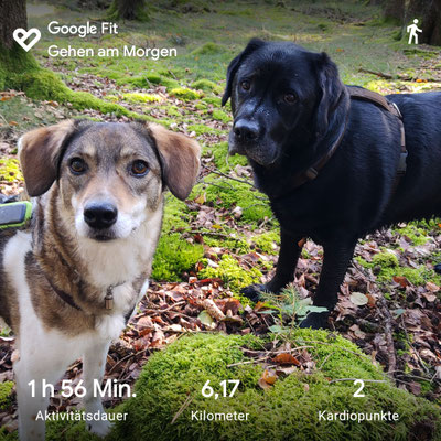 20.09.2024: Ella und Gero  sind 6,17km in Thüringen gelaufen.