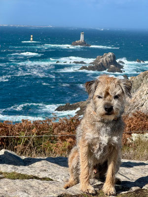 11.09.2025: Max ist 3,69 km gelaufen. Ausflug zum Kap Pointe du Raz an der französischen Atlantikküste