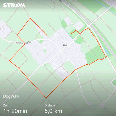 29.09.2024:  Dayna  und Elisa