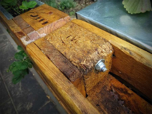 Zaun aus Europaletten bauen Unser Kleingarten ein kleines Paradies