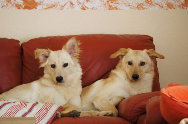 Nelli & Sunny