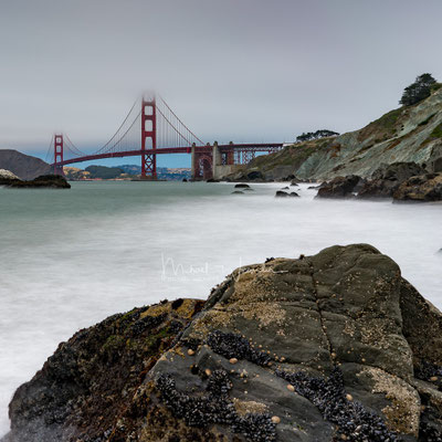 San Francisco Photo 14