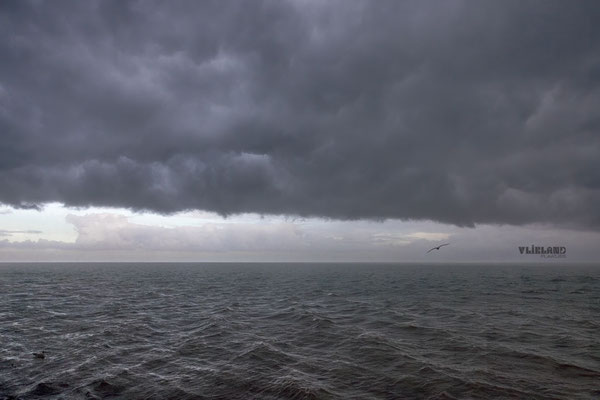 Buien boven de Waddenzee, nov 2025