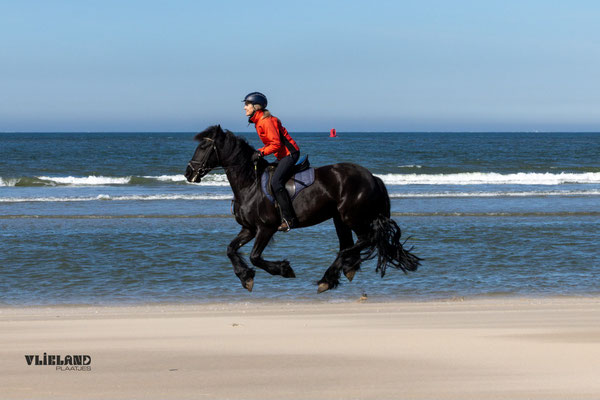 Paardrijden op het Noordzeestrand, april 25