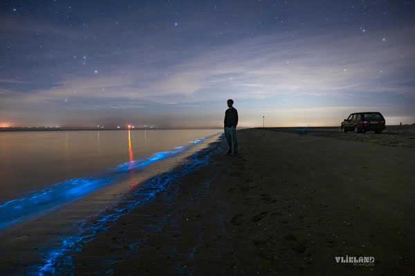 Zeevonk & Thomas, 2 mei 2025