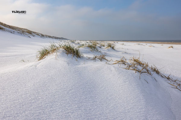 Wit Noordzeestrand, 2 feb 2026