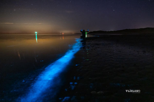 Look Blue Hands, Zeevonk, 2 Mei 2025