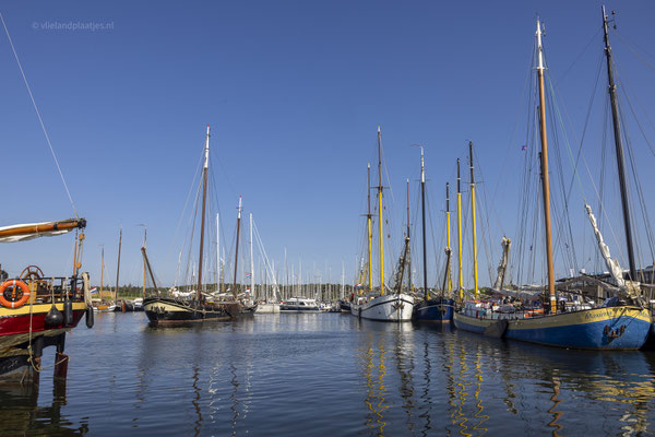 Kleurrijke Bruine vloot in de jachthaven, mei 24
