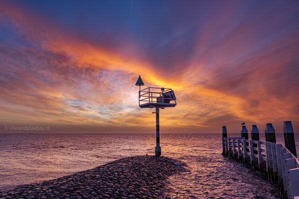 Kleurexplosie voor zonsopgang 25 januari 2024 (3)