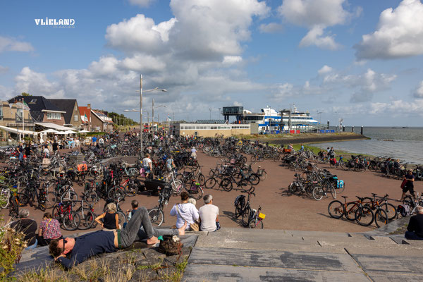 Zomerdrukte op het havenplein, aug 2025