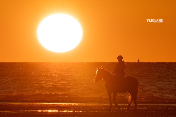 Zonsondergang te paard, aug 2025
