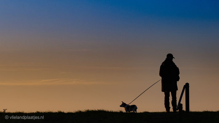 Man met hond in de ochtendgloren. Waddendijk Vlieland okt 2021
